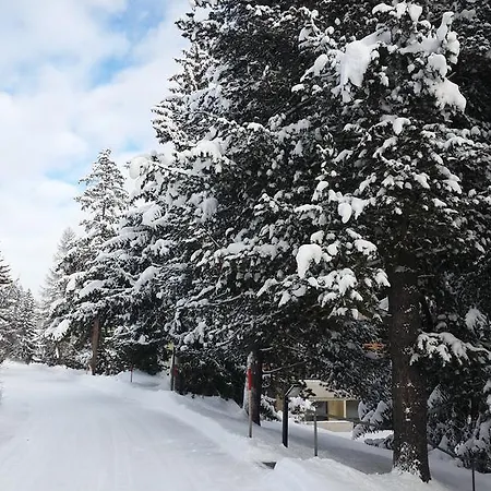 Sesvenna Apartman *